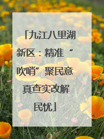 九江八里湖新区：精准“吹哨”聚民意 真查实改解民忧