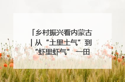 乡村振兴看内蒙古｜从“土里土气”到“虾里虾气” 一田双收模式火出圈