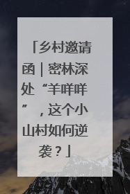 乡村邀请函｜密林深处“羊咩咩”，这个小山村如何逆袭？