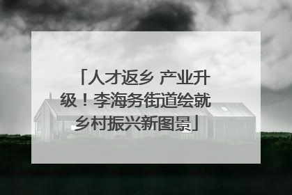 人才返乡 产业升级！李海务街道绘就乡村振兴新图景