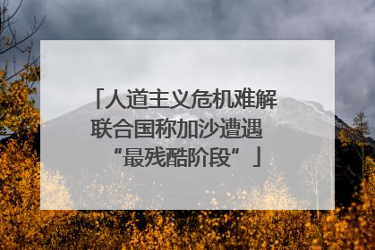 人道主义危机难解 联合国称加沙遭遇“最残酷阶段”