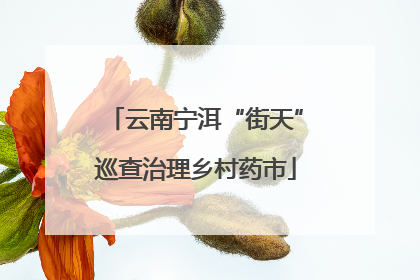 云南宁洱“街天”巡查治理乡村药市