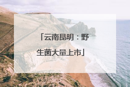 云南昆明：野生菌大量上市