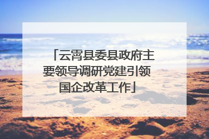 云霄县委县政府主要领导调研党建引领国企改革工作