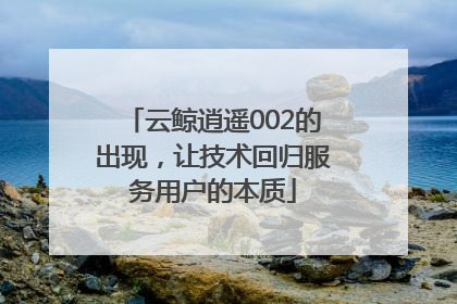 云鲸逍遥002的出现，让技术回归服务用户的本质