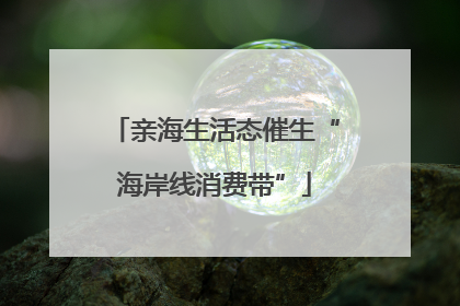 亲海生活态催生“海岸线消费带”