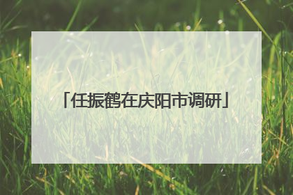任振鹤在庆阳市调研