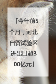 今年前5个月，河北自贸试验区进出口超300亿元