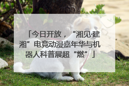今日开放，“湘见·建湘”电竞动漫嘉年华与机器人科普展超“燃”
