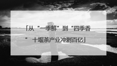 从“一季鲜”到“四季香” 十堰茶产业冲刺百亿
