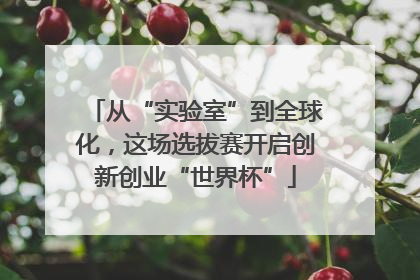 从“实验室”到全球化，这场选拔赛开启创新创业“世界杯”