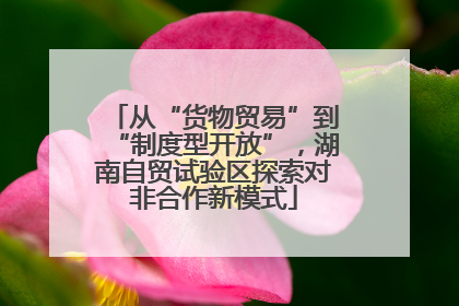 从“货物贸易”到“制度型开放”，湖南自贸试验区探索对非合作新模式
