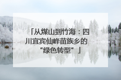 从煤山到竹海：四川宜宾仙峰苗族乡的“绿色转型”