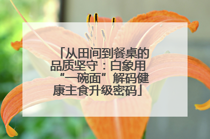 从田间到餐桌的品质坚守：白象用“一碗面”解码健康主食升级密码