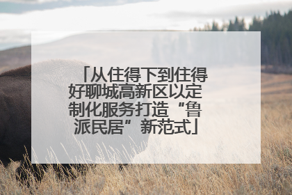 从住得下到住得好聊城高新区以定制化服务打造“鲁派民居”新范式