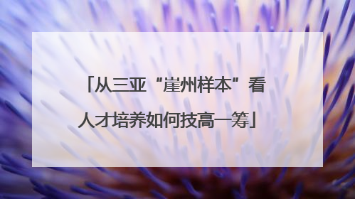 从三亚“崖州样本”看人才培养如何技高一筹