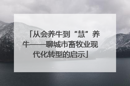 从会养牛到“慧”养牛——聊城市畜牧业现代化转型的启示