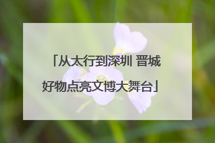从太行到深圳 晋城好物点亮文博大舞台