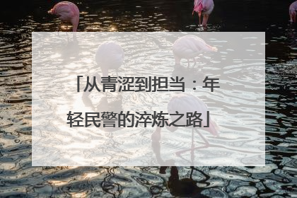 从青涩到担当：年轻民警的淬炼之路