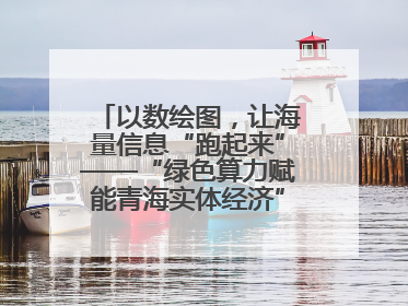 以数绘图，让海量信息“跑起来”——“绿色算力赋能青海实体经济”系列报道①