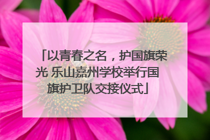 以青春之名，护国旗荣光 乐山嘉州学校举行国旗护卫队交接仪式
