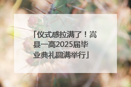 仪式感拉满了！嵩县一高2025届毕业典礼圆满举行