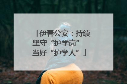 伊春公安：持续坚守“护学岗” 当好“护学人”