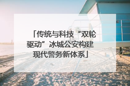 传统与科技“双轮驱动”冰城公安构建现代警务新体系