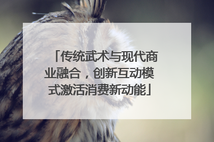 传统武术与现代商业融合，创新互动模式激活消费新动能