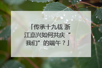 传承十九载 浙江嘉兴如何共庆“我们”的端午？