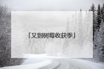 又到树莓收获季