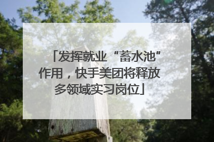 发挥就业“蓄水池”作用，快手美团将释放多领域实习岗位