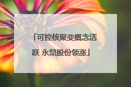 可控核聚变概念活跃 永鼎股份领涨