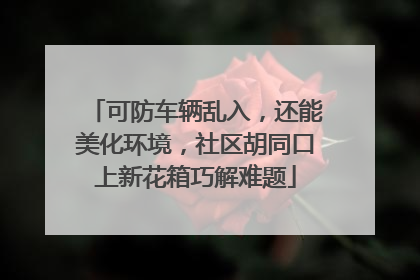可防车辆乱入，还能美化环境，社区胡同口上新花箱巧解难题