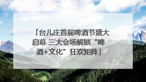 台儿庄首届啤酒节盛大启幕 三大会场解锁“啤酒+文化”狂欢矩阵