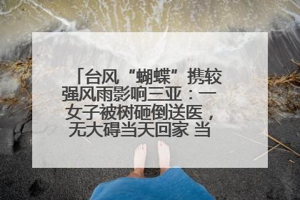 台风“蝴蝶”携较强风雨影响三亚：一女子被树砸倒送医，无大碍当天回家 当地已紧急清障