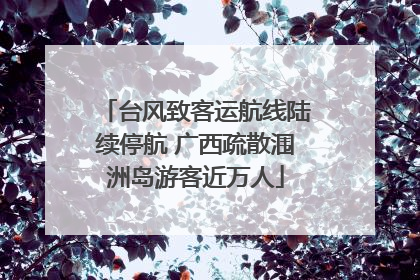 台风致客运航线陆续停航 广西疏散涠洲岛游客近万人