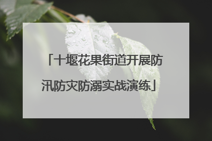 十堰花果街道开展防汛防灾防溺实战演练