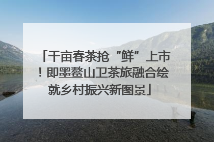 千亩春茶抢“鲜”上市！即墨鳌山卫茶旅融合绘就乡村振兴新图景