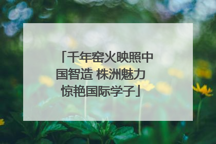 千年窑火映照中国智造 株洲魅力惊艳国际学子