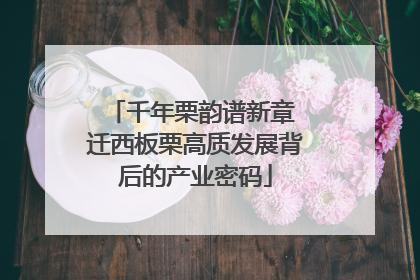 千年栗韵谱新章 迁西板栗高质发展背后的产业密码