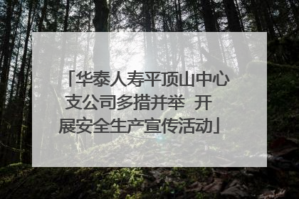 华泰人寿平顶山中心支公司多措并举  开展安全生产宣传活动