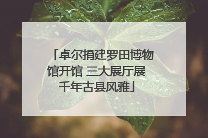 卓尔捐建罗田博物馆开馆 三大展厅展千年古县风雅