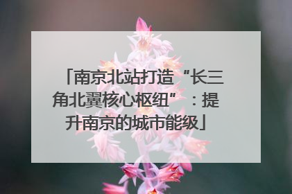 南京北站打造“长三角北翼核心枢纽”：提升南京的城市能级