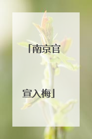 南京官宣入梅
