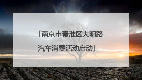 南京市秦淮区大明路汽车消费活动启动