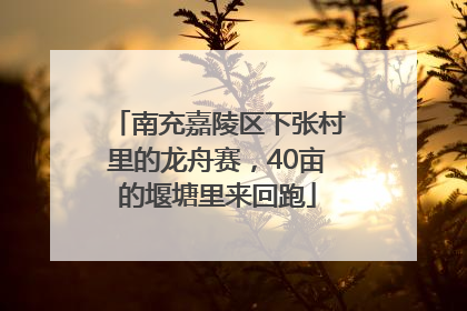 南充嘉陵区下张村里的龙舟赛，40亩的堰塘里来回跑