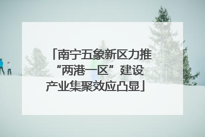 南宁五象新区力推“两港一区”建设 产业集聚效应凸显