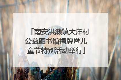 南安洪濑镇大洋村公益图书馆揭牌暨儿童节特别活动举行