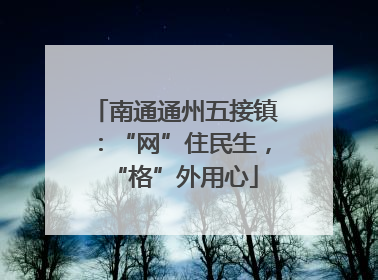 南通通州五接镇：“网”住民生，“格”外用心